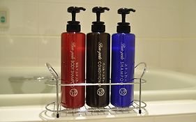 Sotetsu Fresa Inn Ginza-Nanachome